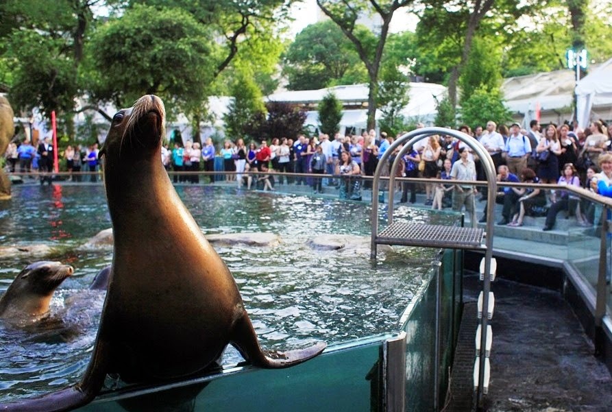 Central Park Zoo em Nova York