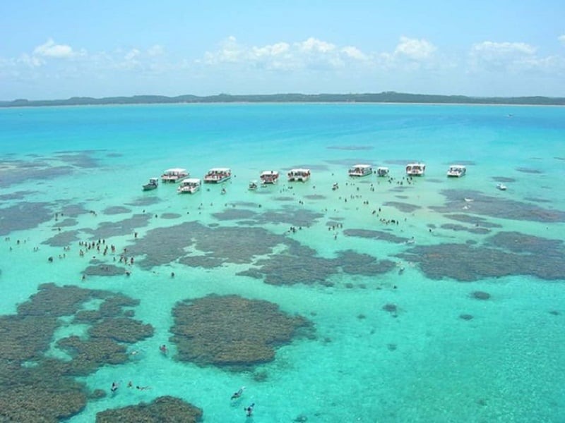 Piscinas naturais em Maceió