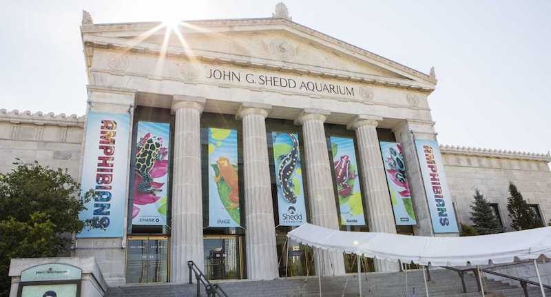 Shedd Aquarium em Chicago