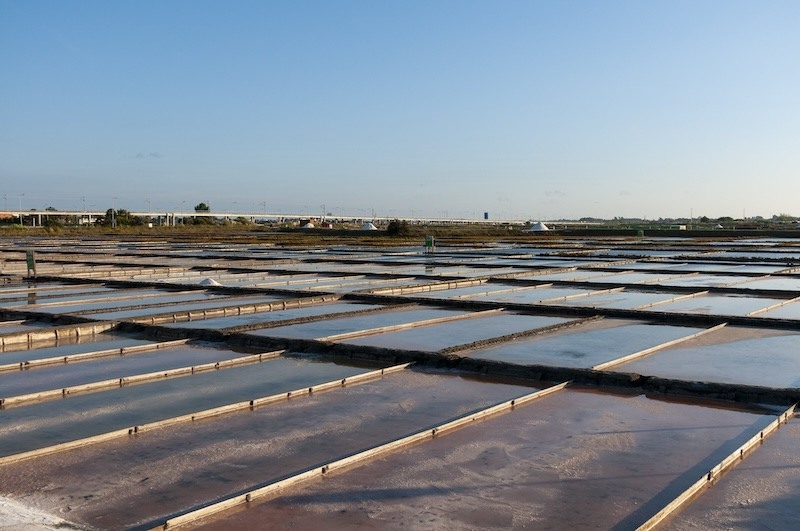 Salinas de Aveiro