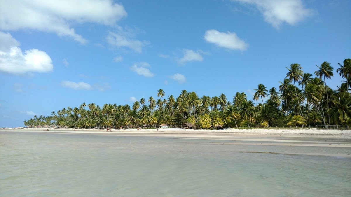 Praia dos Carneiros próxima a Maragogi