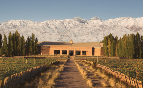 Bodega Salentein