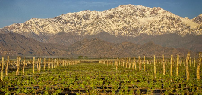 Vinícolas de Maipú