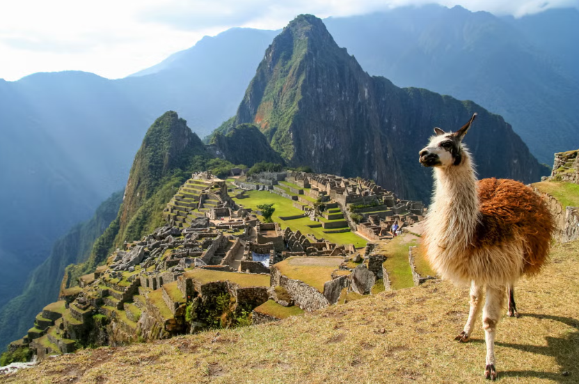 Machu Picchu