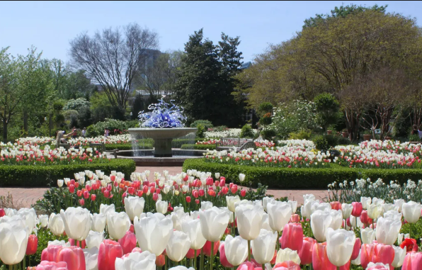 Atlanta Botanical Garden