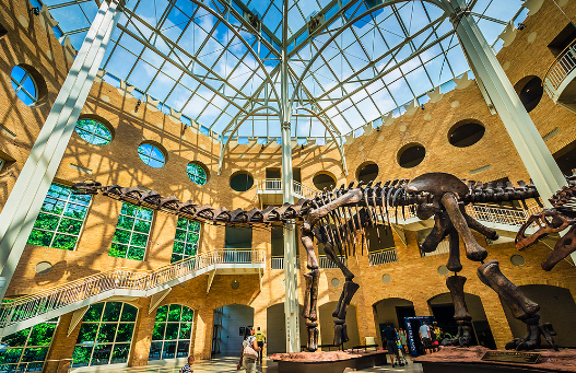 Fernbank Museum of Natural History