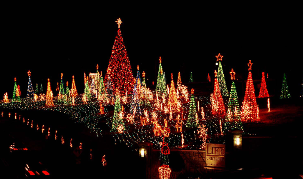 Lights of Life