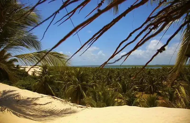 Praia do Mangue Seco em Jeri